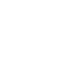 Top 100 2023